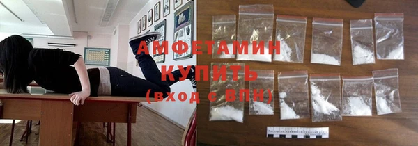 спиды Ельня