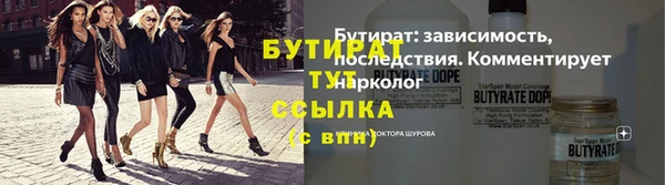 спиды Ельня