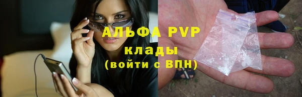 спиды Ельня