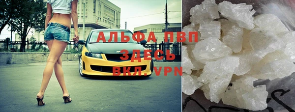 спиды Ельня