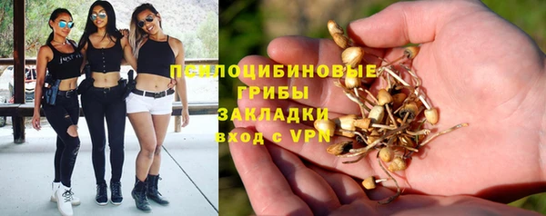 спиды Заволжье